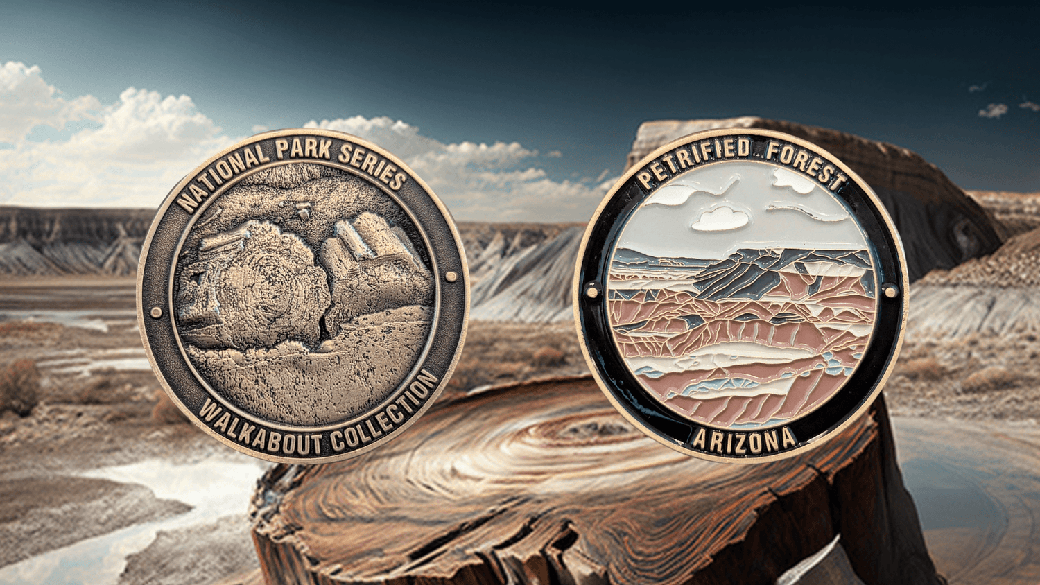 PETRIFIED FOREST NATIONAL PARK CHALLENGE COIN