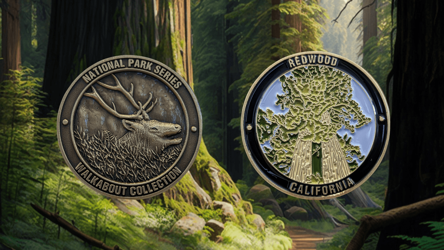 REDWOOD NATIONAL PARK CHALLENGE COIN