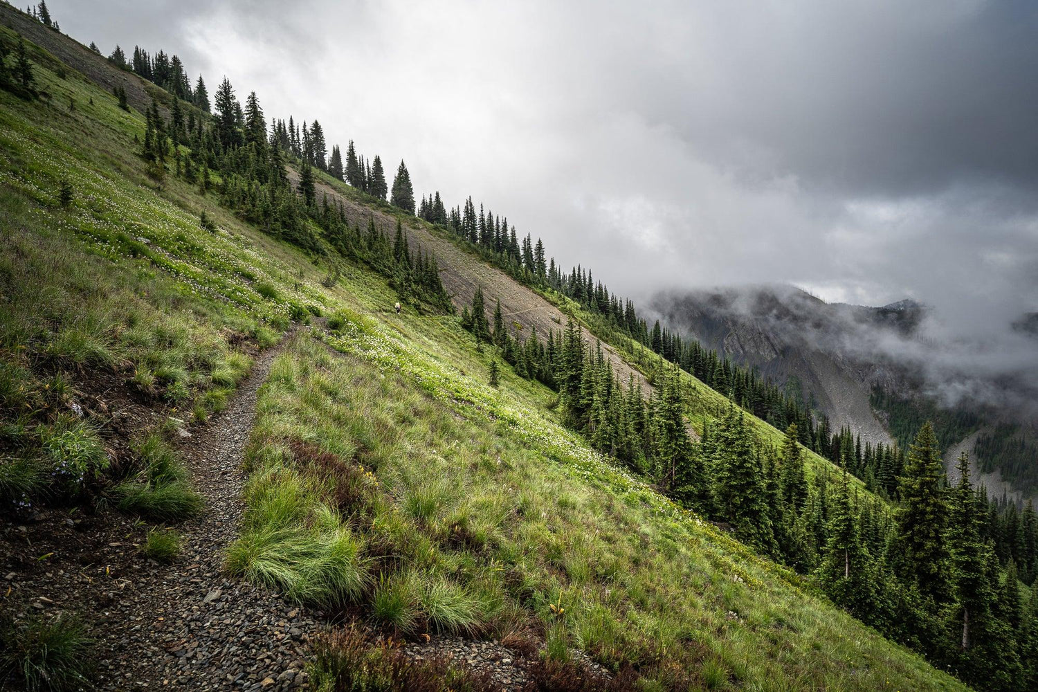 Fine Pacific Crest Trail photography print of fog rolling over the green mountain side.