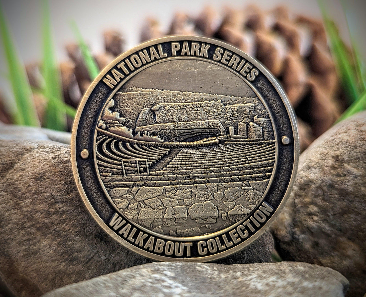 CARLSBAD CAVERNS NATIONAL PARK CHALLENGE COIN