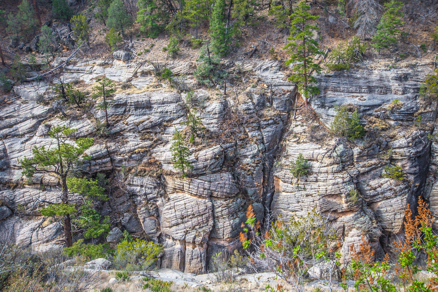 Fine Walnut Canyon National Monument photography print of the cracked walls along the Walnut Canyon.