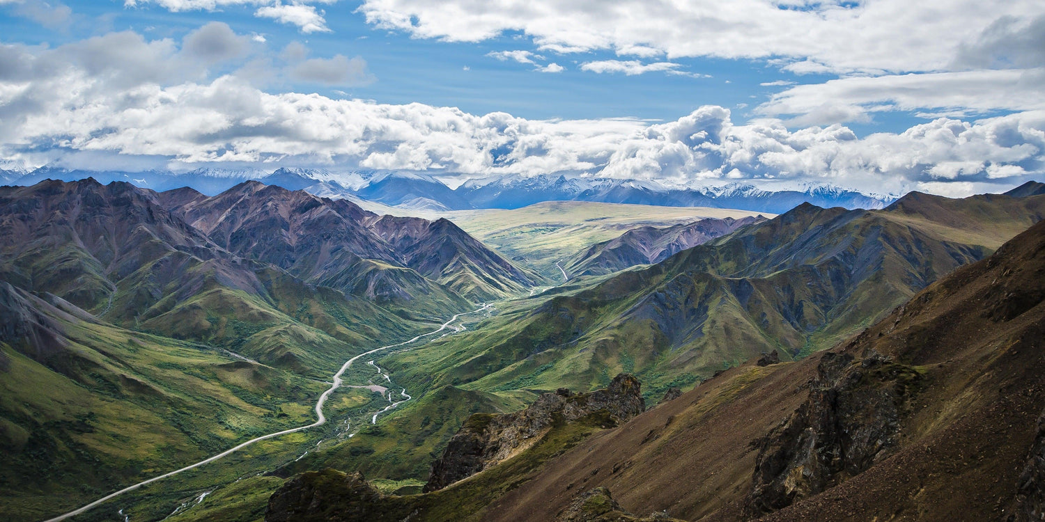 Fine print of an explosive array of colors layering the landscape of Denali National Park in Alaska.