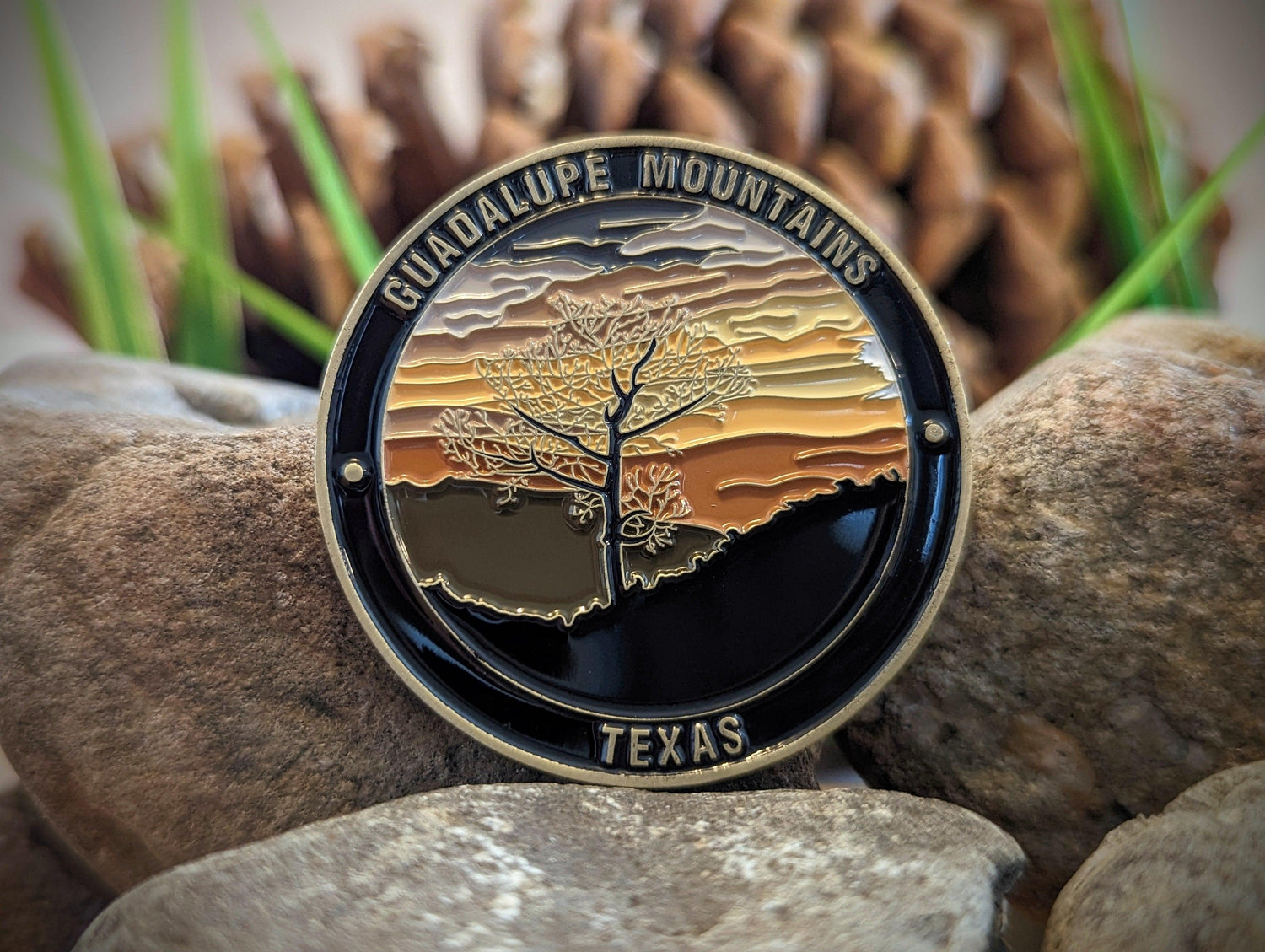 GUADALUPE MOUNTAINS NATIONAL PARK CHALLENGE COIN