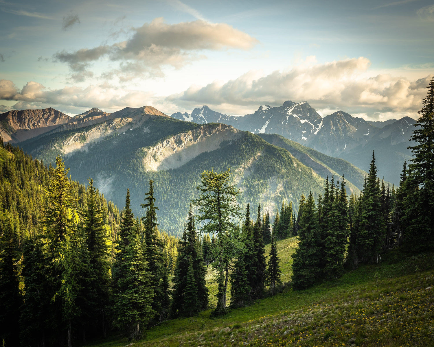 Pacific Crest Trail: Footsteps and Photographs
