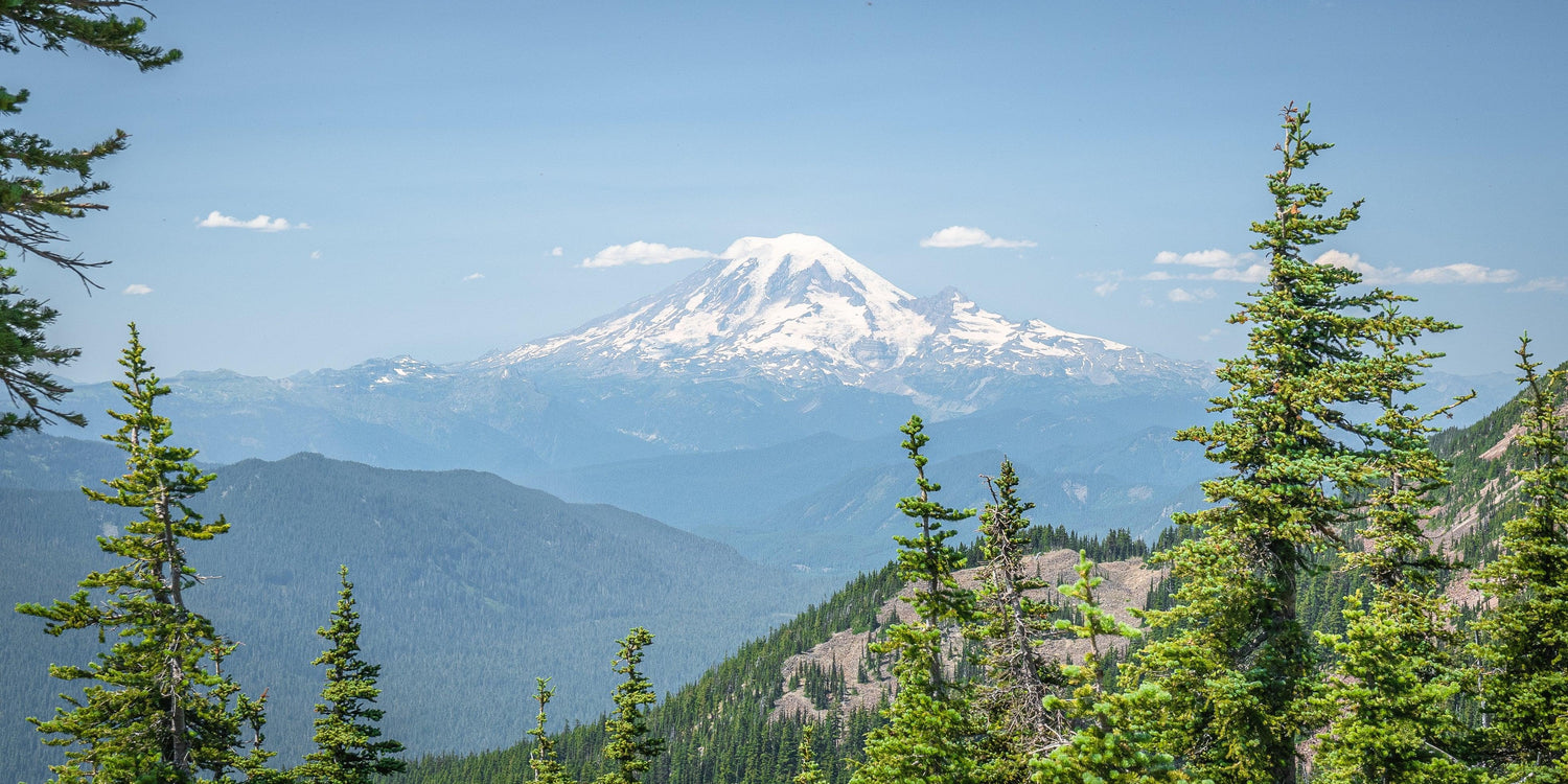 Pacific Crest Trail: Footsteps and Photographs