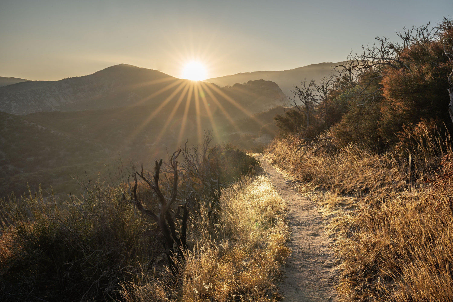 Fine photographic and art print of a sunrise highlighting the desert trail of the Pacific Crest Trail with mountains in the background.