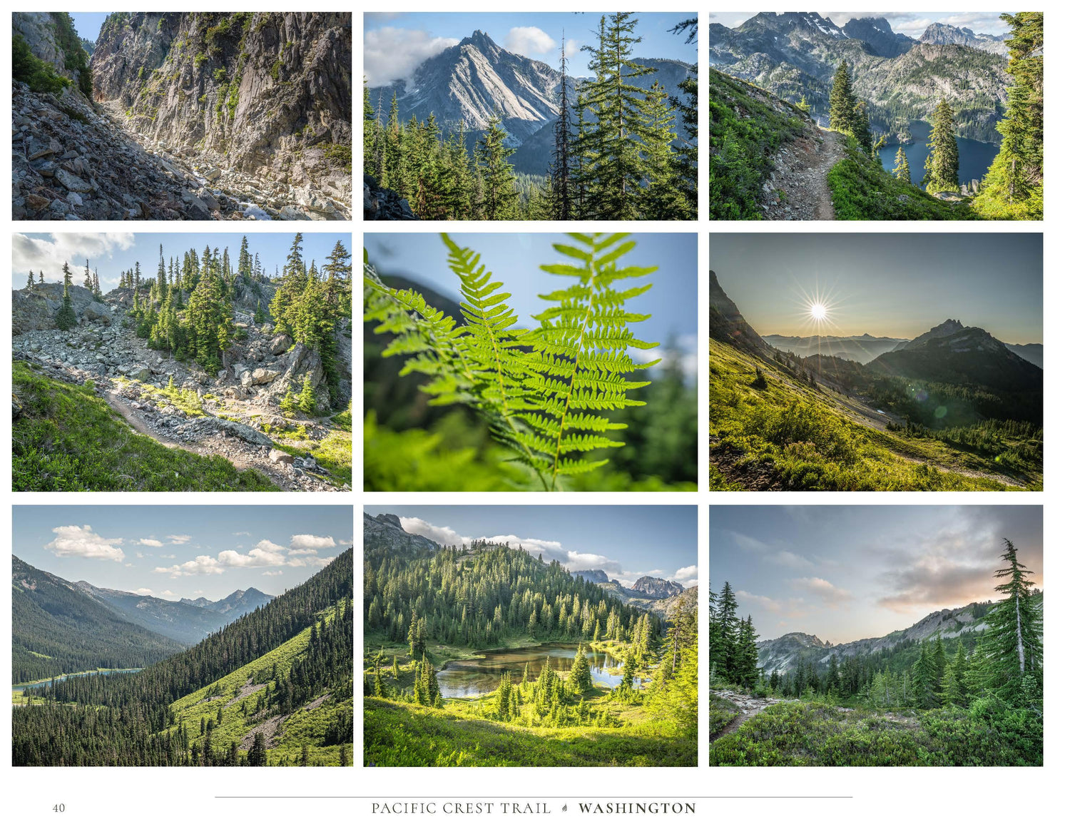 Pacific Crest Trail: Footsteps and Photographs
