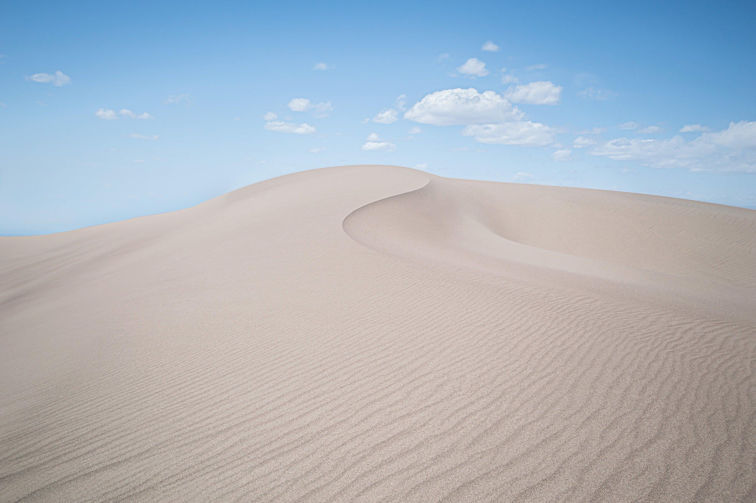 Fine Great Sand Dunes photography print of a waving sand dune with a blue sky backdrop.