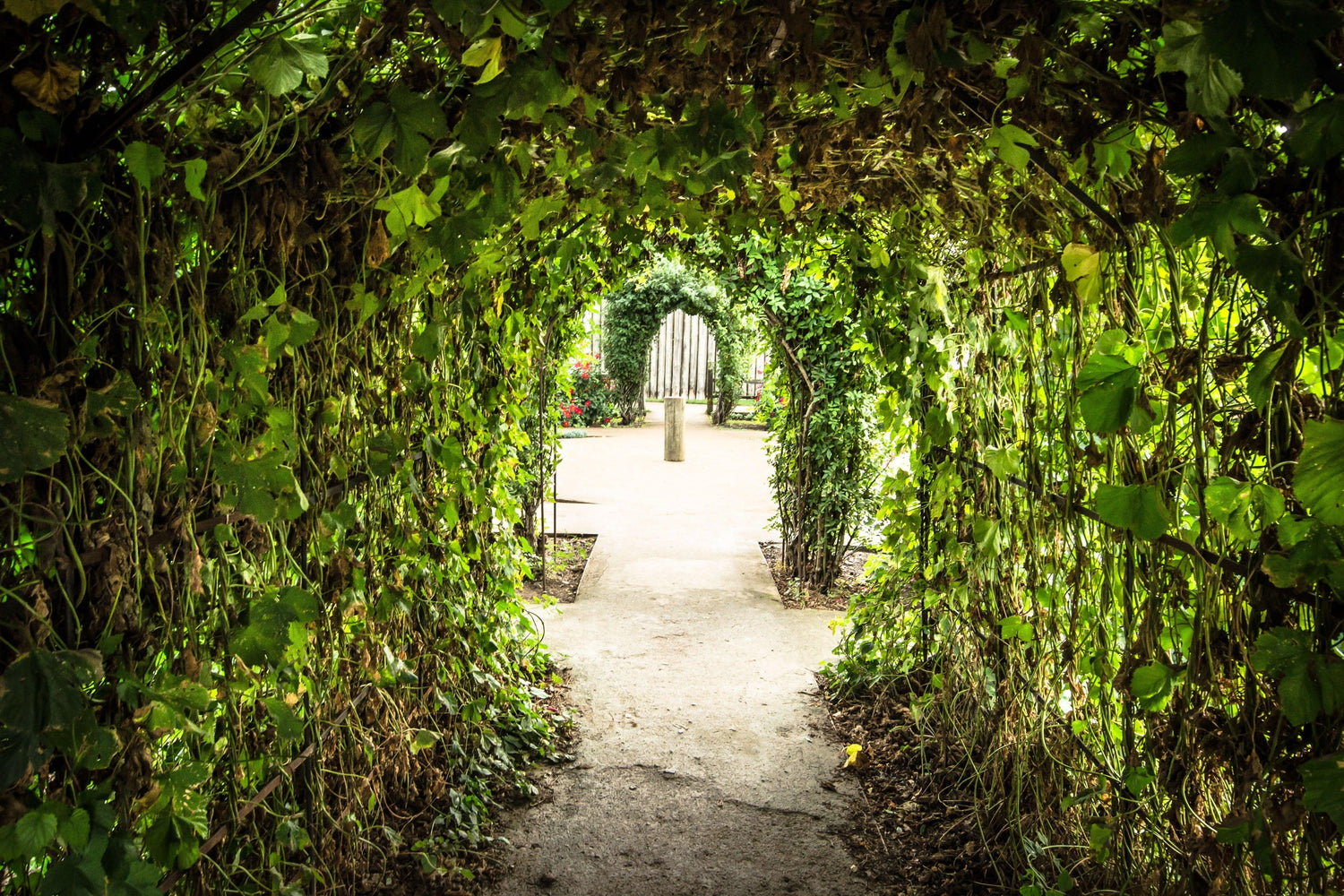 Fine Fort Vancouver National History Park photography print of walkway through the exterior English Garden.