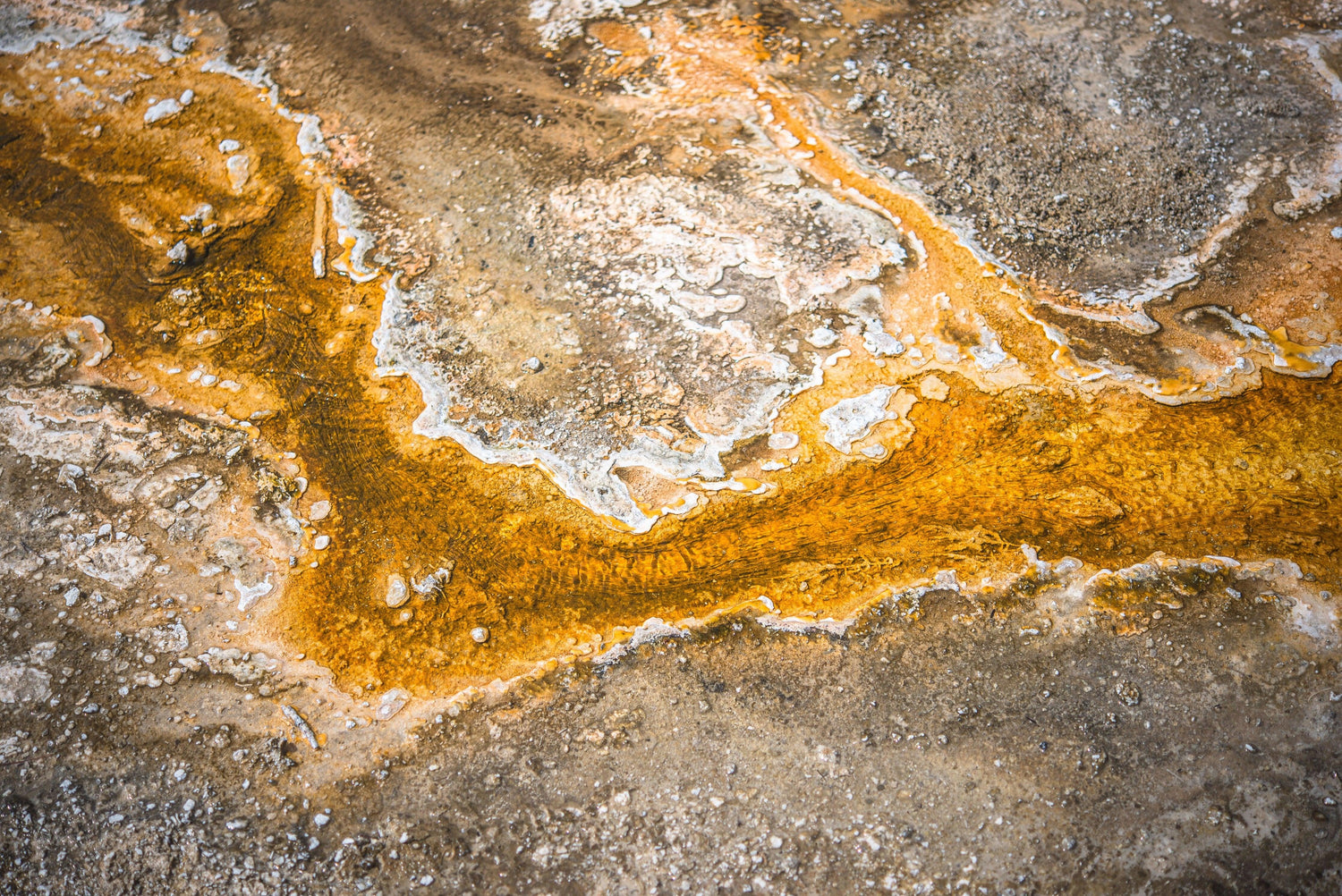 Fine Yellowstone National Park photography print of the geothermal streams of acid flowing across the seismic landscape.