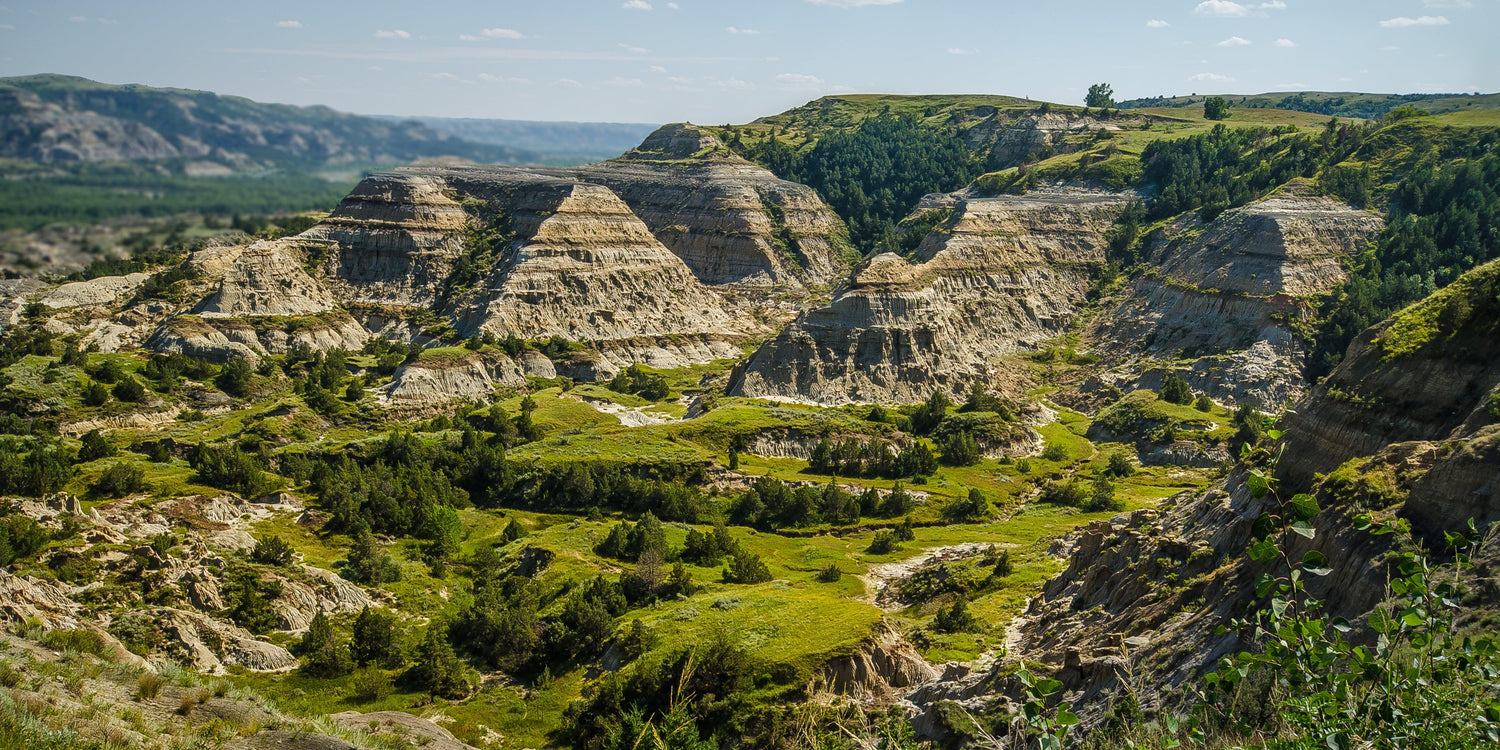 THEODORE ROOSEVELT NATIONAL PARK CHALLENGE COIN