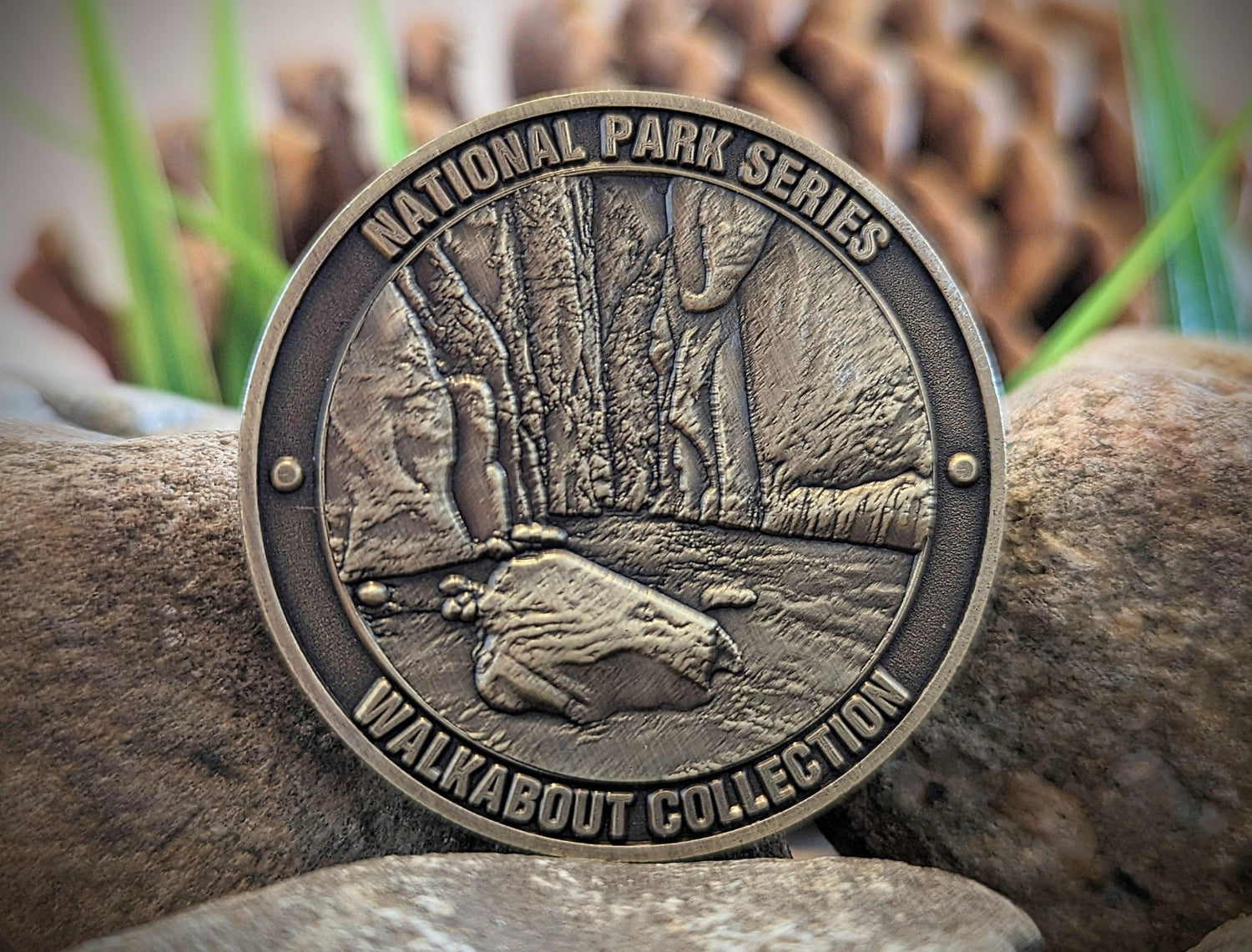 ZION NATIONAL PARK CHALLENGE COIN