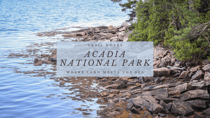 Acadia National Park: Where Land Meets the Sea