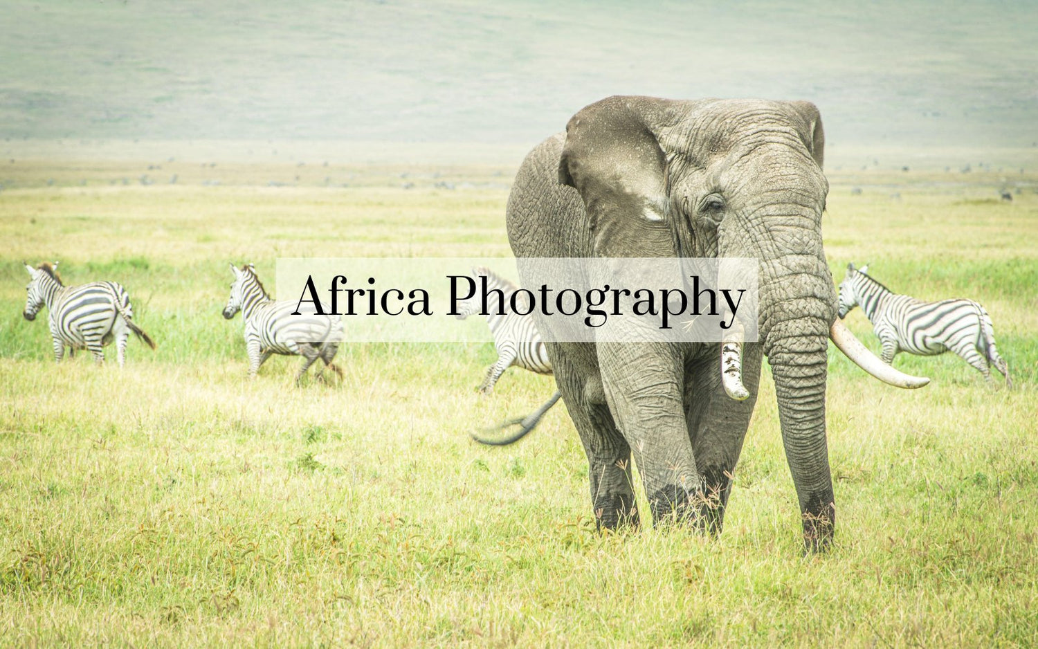 AFRICA PHOTOGRAPHY