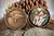 CUYAHOGA VALLEY NATIONAL PARK CHALLENGE COIN