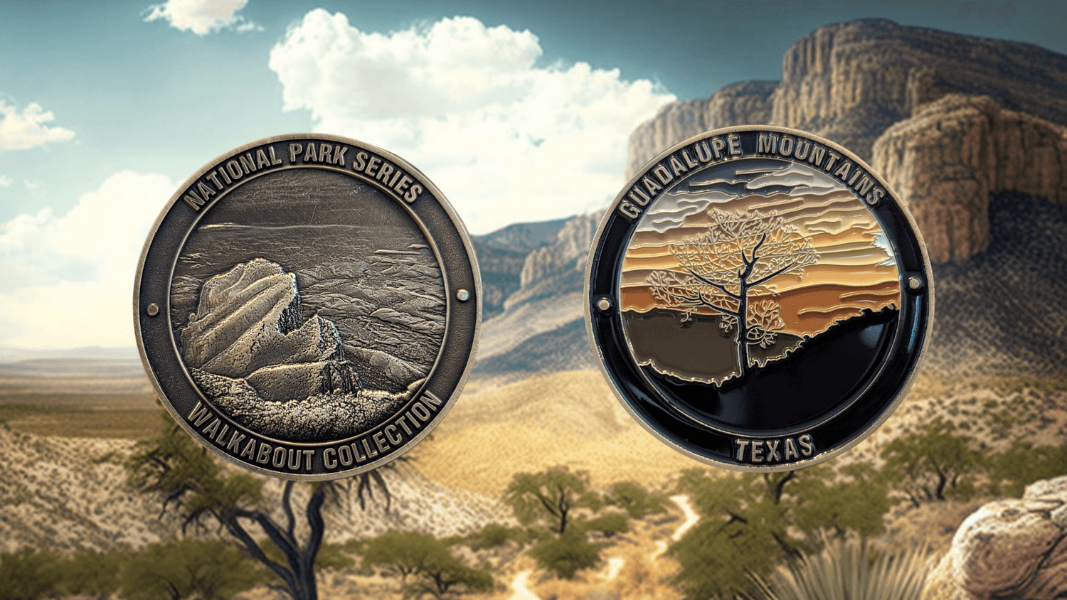 GUADALUPE MOUNTAINS NATIONAL PARK CHALLENGE COIN