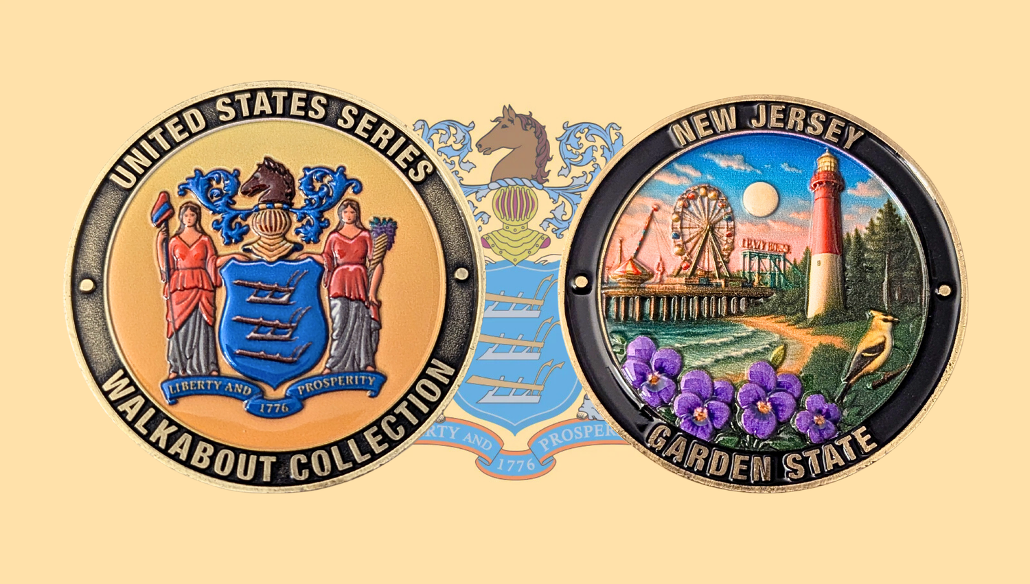 NEW JERSEY STATE CHALLENGE COIN