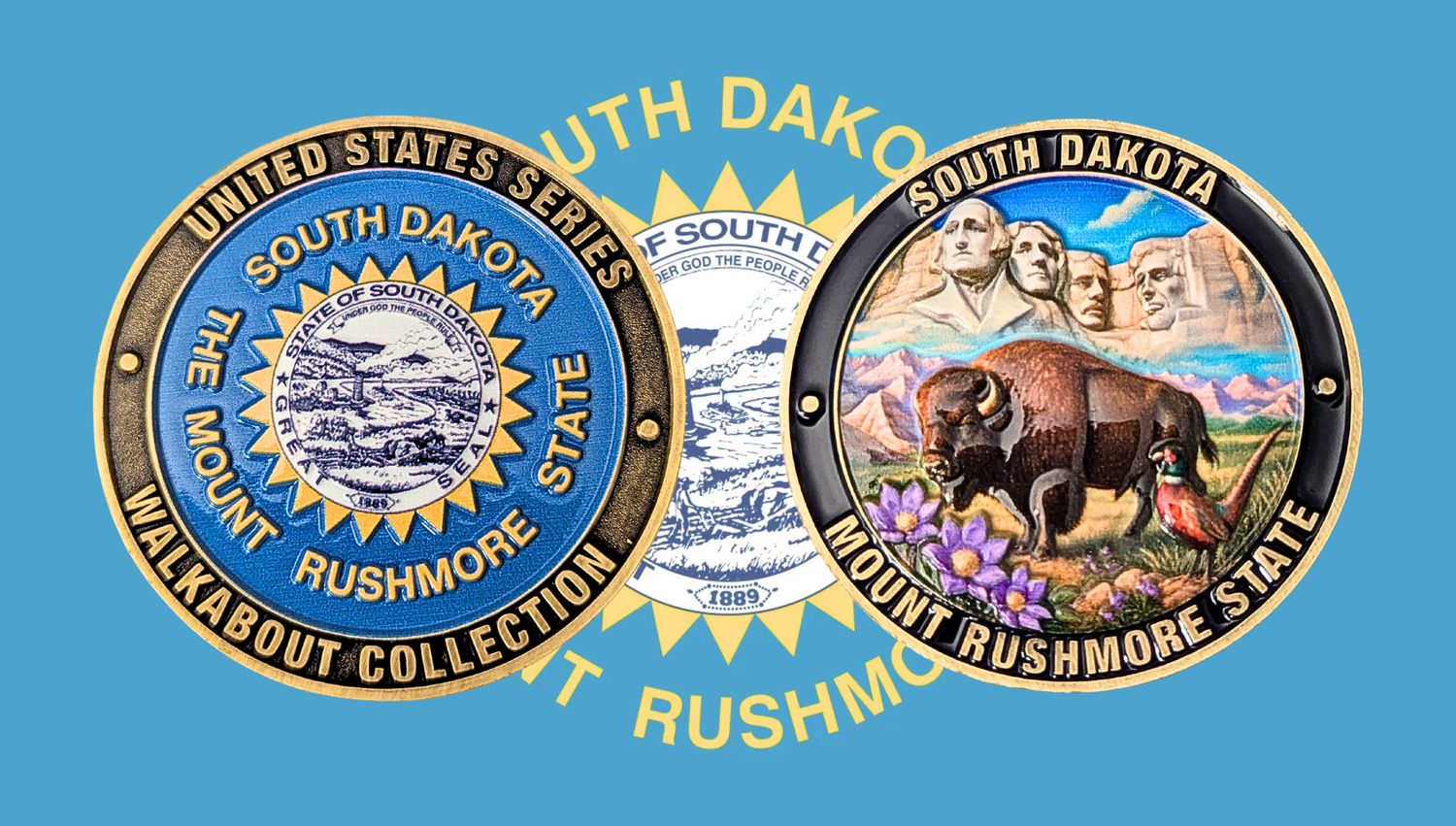 SOUTH DAKOTA STATE CHALLENGE COIN