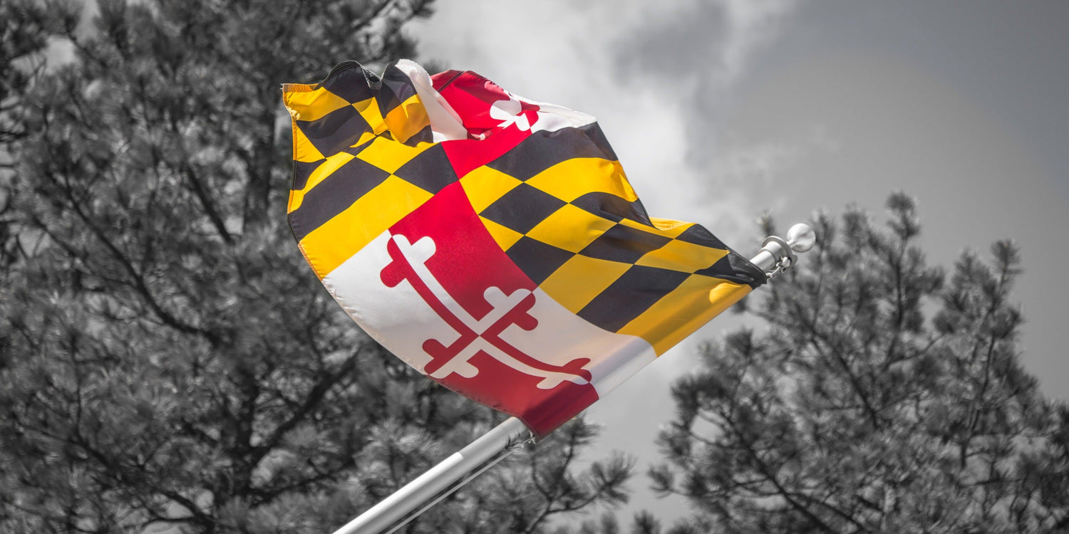 Fine Maryland photography print of the Maryland flag flying at Mount Rushmore National Memorial.
