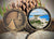 DRY TORTUGAS NATIONAL PARK CHALLENGE COIN