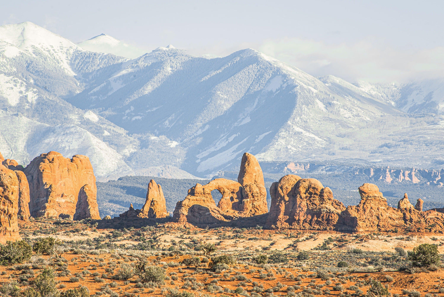 Fine Arches National Park photography print of the field of arches and rock formations in front of snow covered mountains in the backdrop.