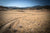 LONELY PATH
