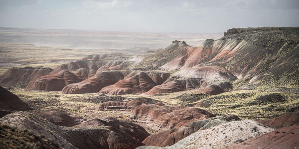 Fine Petrified Forest National Park photography print of the rugged and otherworldly martian-like landscape.