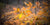 Fine Mammoth Cave National Park photography print of autumn leaves in the backcountry of Kentucky.