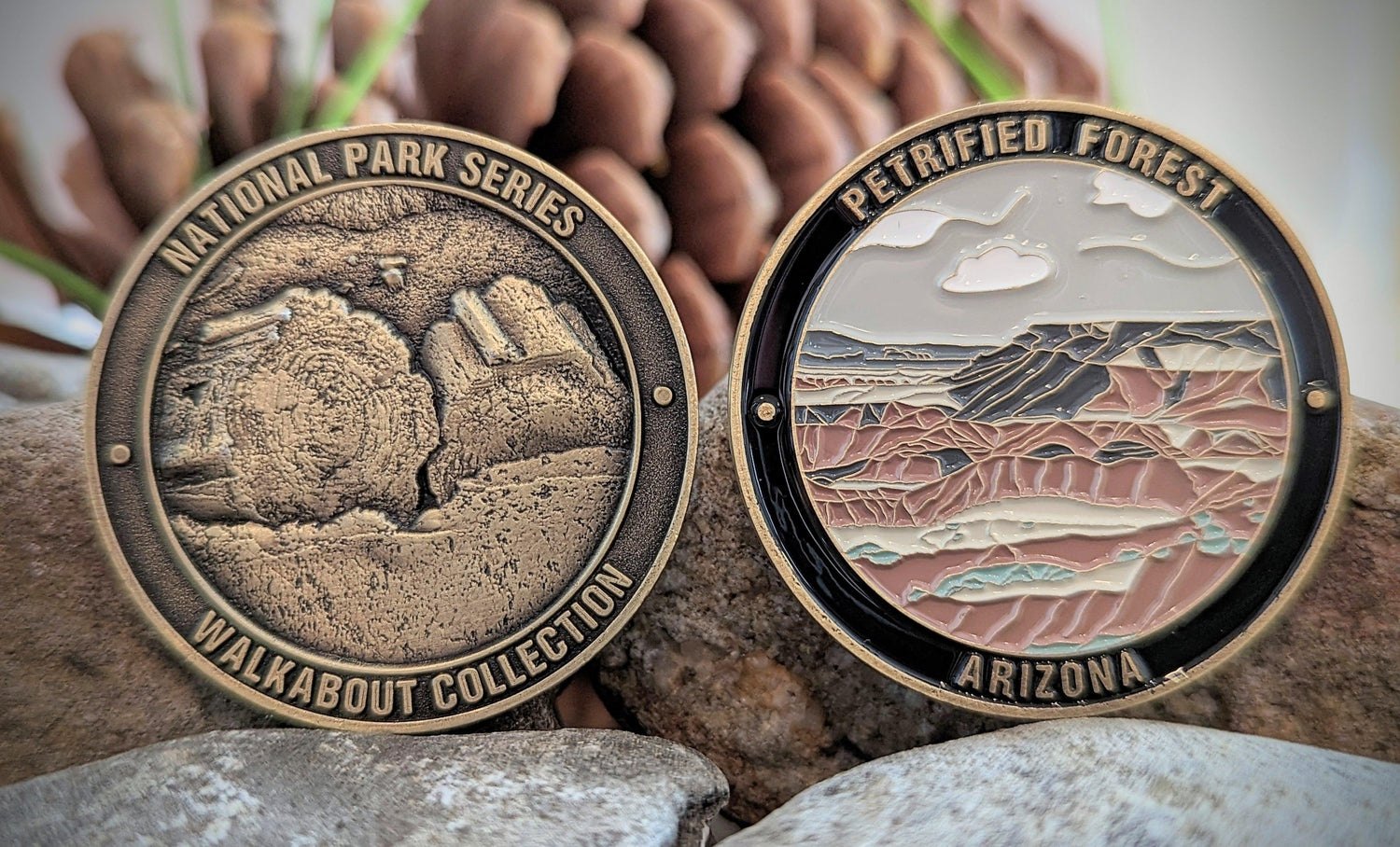 PETRIFIED FOREST NATIONAL PARK CHALLENGE COIN