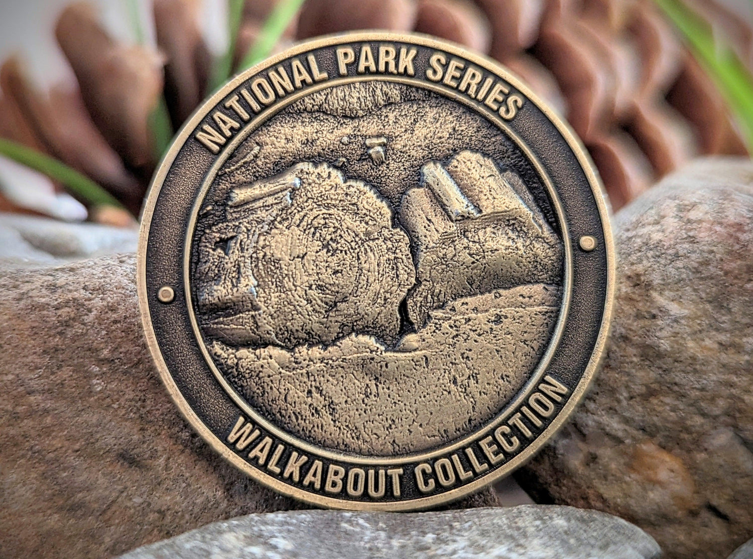 PETRIFIED FOREST NATIONAL PARK CHALLENGE COIN