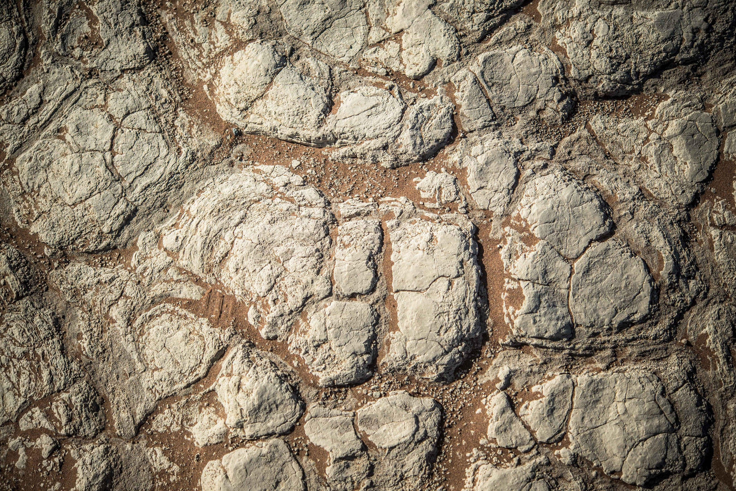 Fine photography print of a close up of the scorched and cracked Namib Desert floor in Namibia's Sossusvlei area.