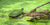 Fine Cuyahoga Valley National Park photography print of a small turtle covered in algae resting on a floating log in an algae infested pond.