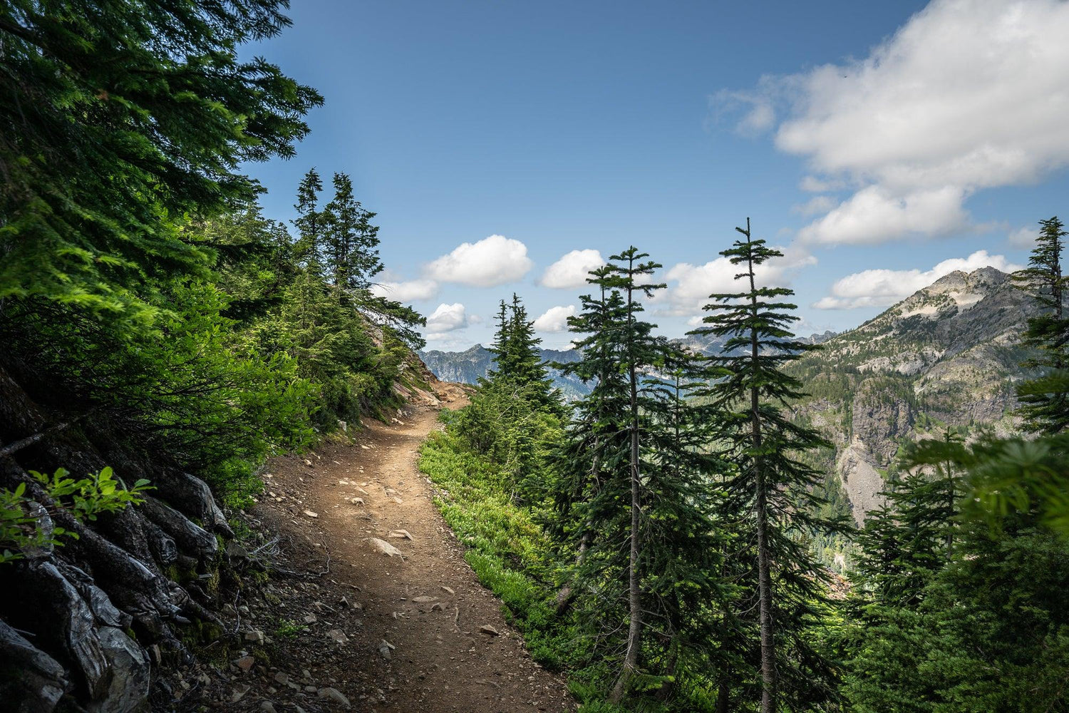 Fine Pacific Crest Trail photography print of path beyond the Catwalk with pine trees and mountains in the background.