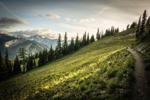 Fine photographic and art print of an evening walk along the sunkissed Washington Section of the Pacific Crest Trail north of Hart's Pass.