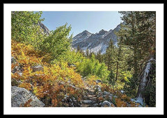 Framed fine photographic print of a multicolored autumn landscape hiking through the forested mountains of the Pacific Crest Trail.