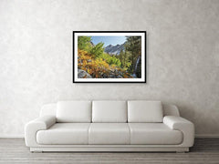 Framed fine photographic and wall art print of a multicolored autumn landscape hiking through the forested mountains of the Pacific Crest Trail.