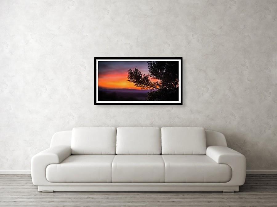 Framed fine photographic and wall art print of a vibrant orange and purple sunset in the background of a pine tree limb silhouette in Canyonlands National Park in Utah.  