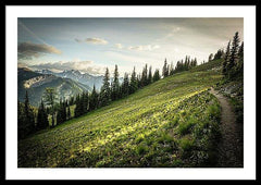 Framed fine photographic and art print of an evening walk along the sunkissed Washington Section of the Pacific Crest Trail north of Hart's Pass.