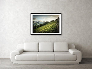 Framed fine photographic and wall art print of an evening walk along the sunkissed Washington Section of the Pacific Crest Trail north of Hart's Pass.