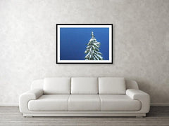 Framed fine print and wall art of a snow-capped evergreen on the banks of a wind-rippled Crater Lake National Park in Oregon. 